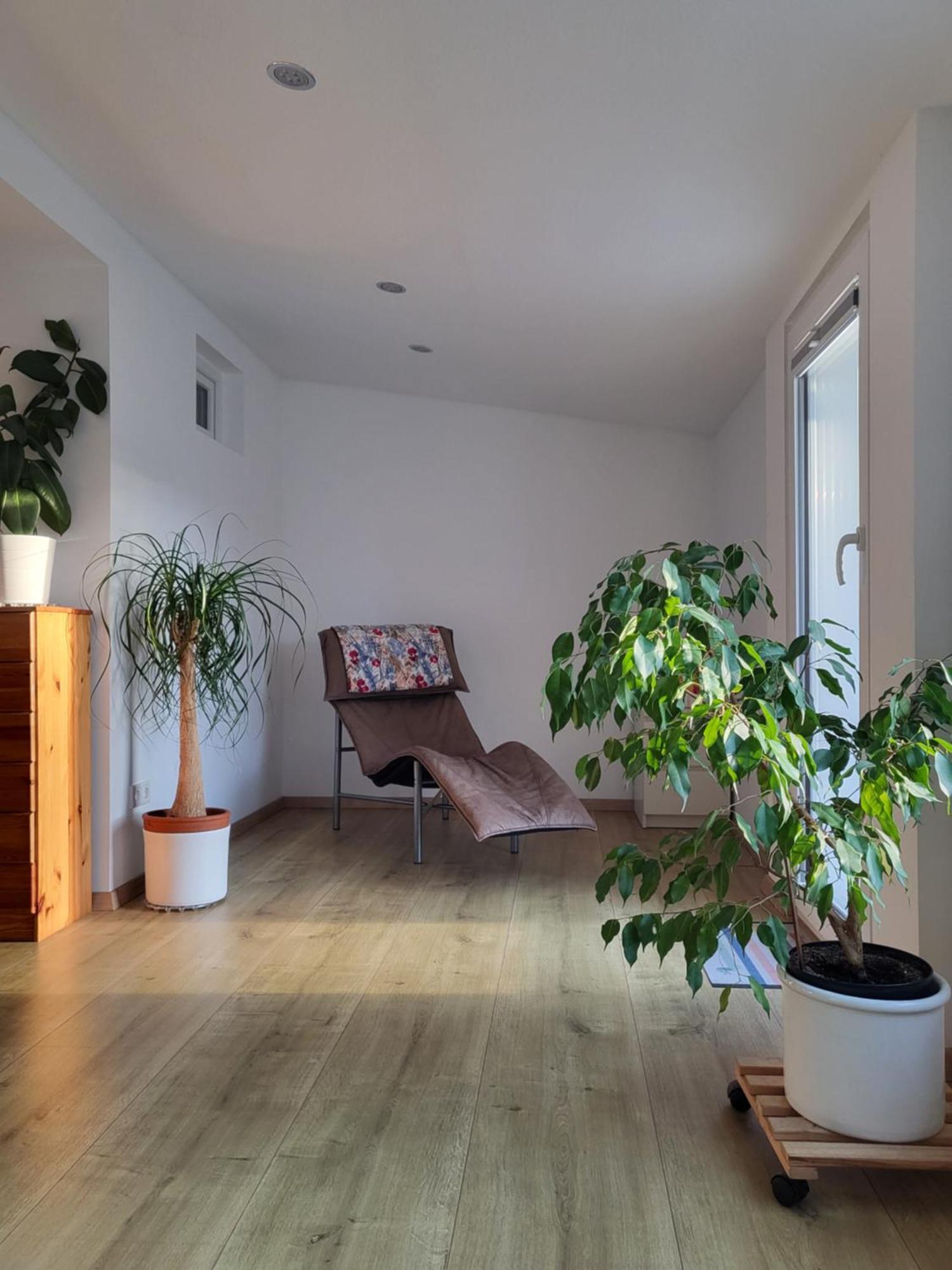 Bungalow In Messenaehe هانوفر المظهر الخارجي الصورة